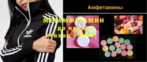 трава Аркадак