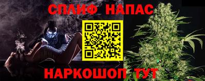 стаф Волгодонск