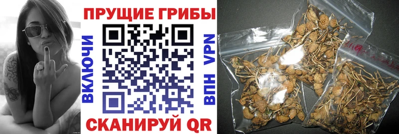 Галлюциногенные грибы мухоморы  Кировск 